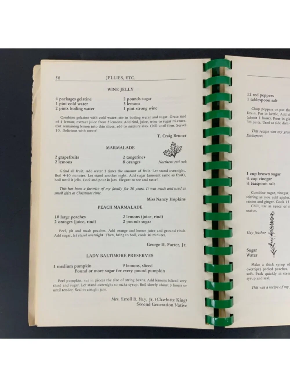 Atlanta Natives Favorite Recipes Spiral-Bound Cookbook 1980 Georgia USA Vintage